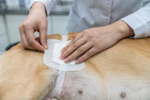 vet surgery tape vs grooming tape